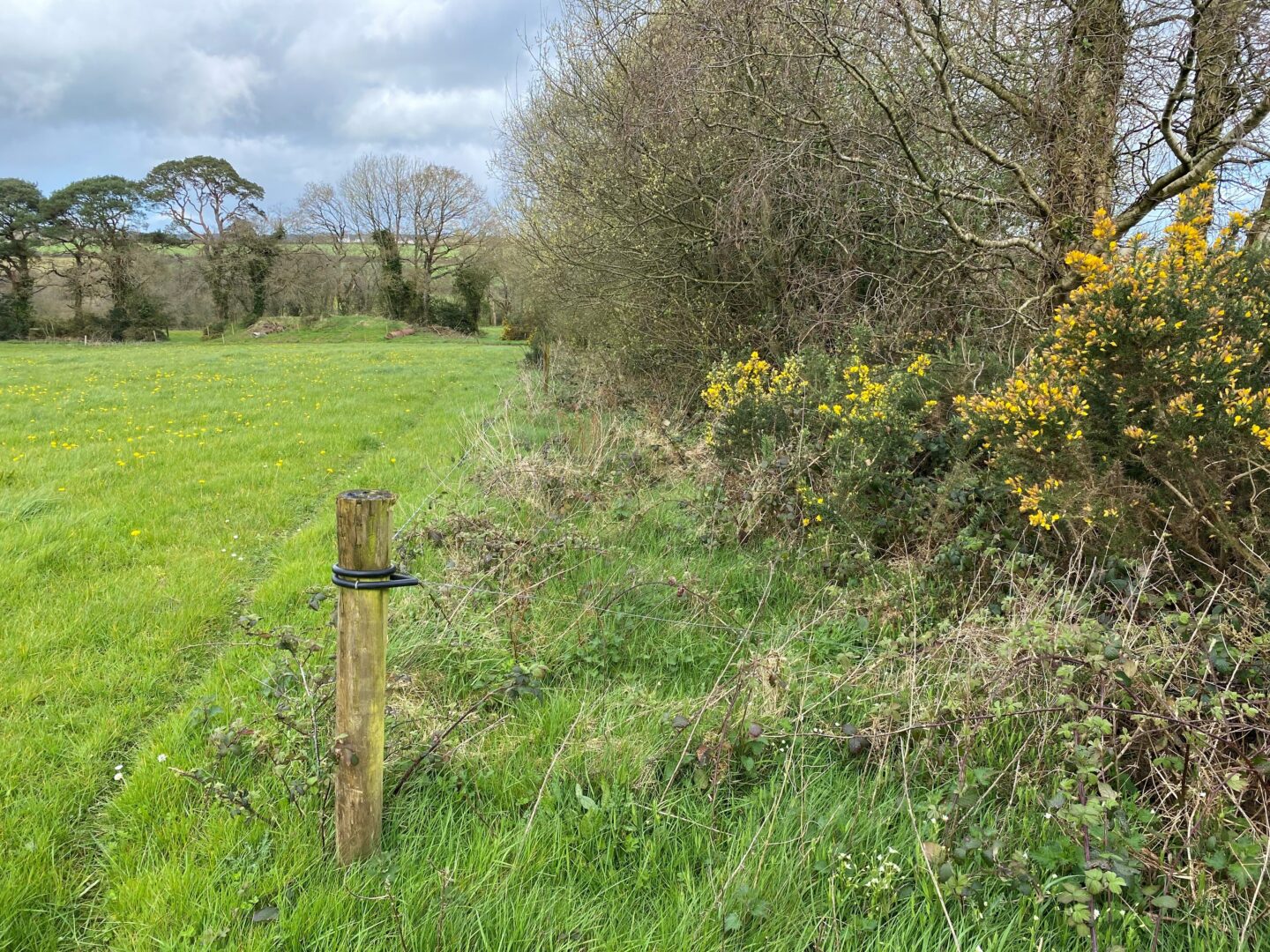 Important Update for ACRES Participants