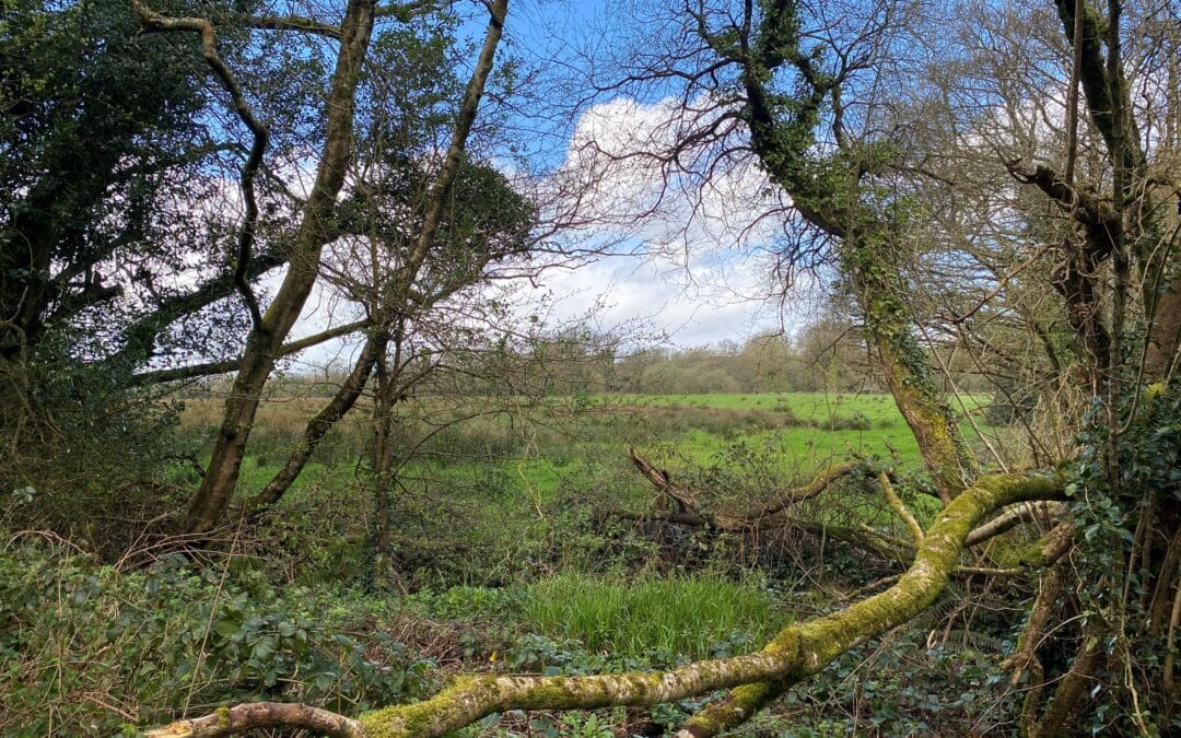 Important Dates for March and April 2026 