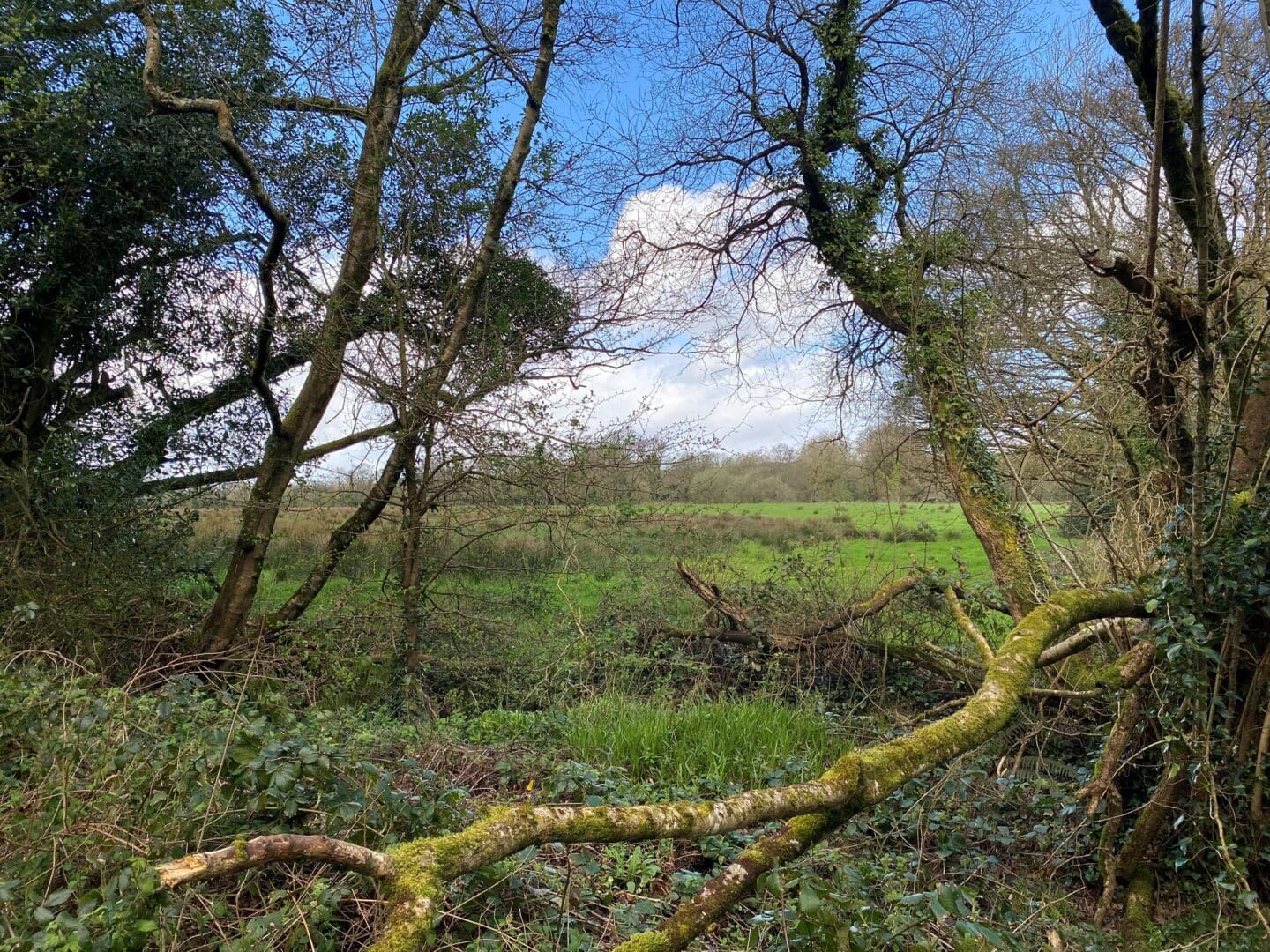 Important Dates for March and April 2026