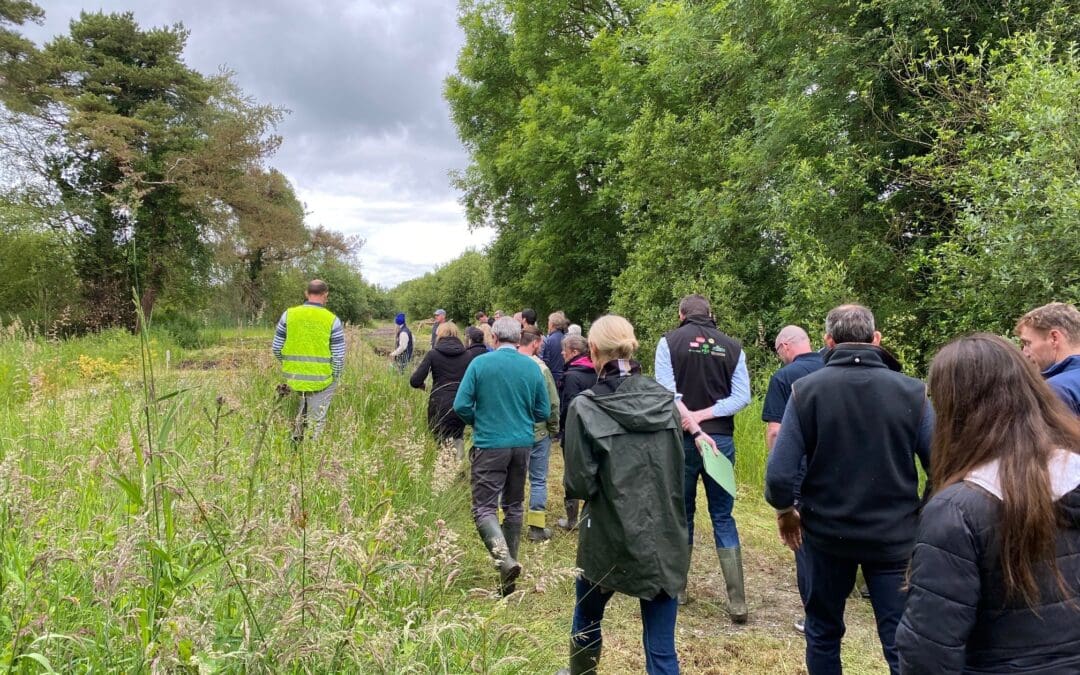 Year Two Payments for Knowledge Transfer Programme Begin