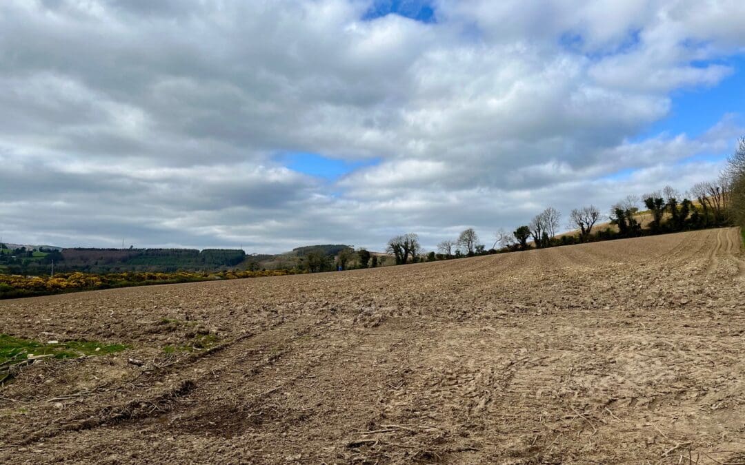 Important Dates for April and May 2026 