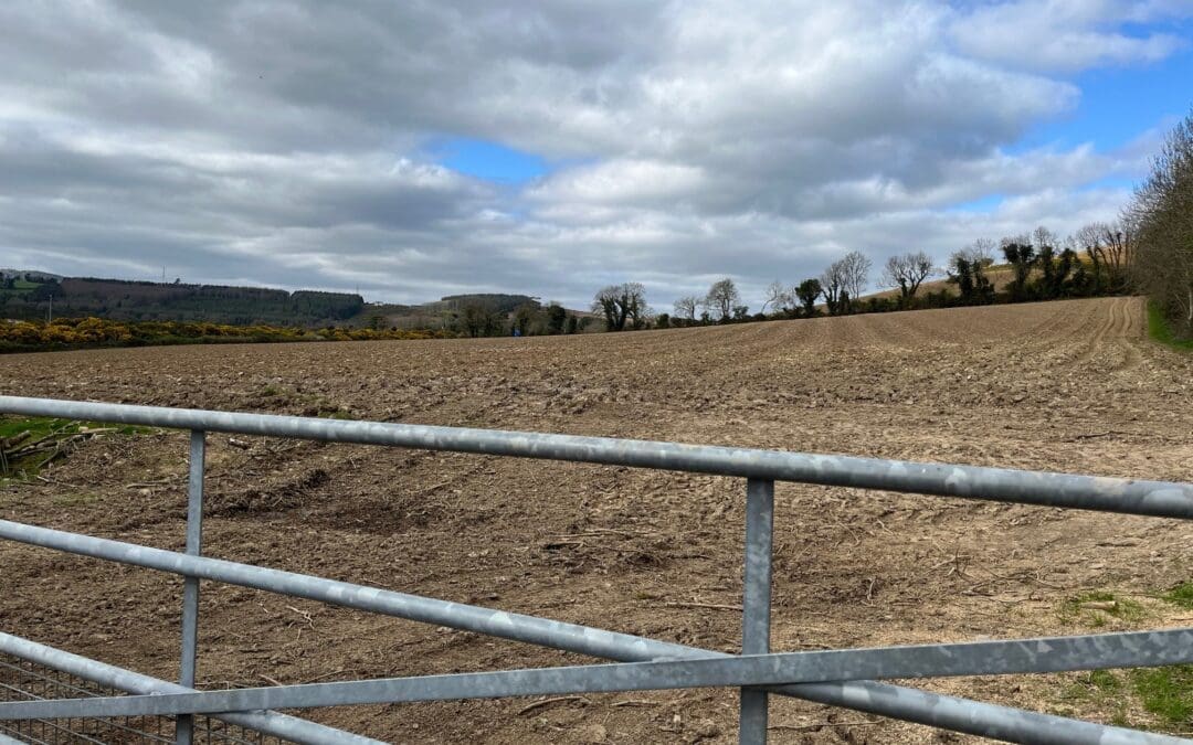 Early-Stage Support for Producer Organisations Scheme Reopens