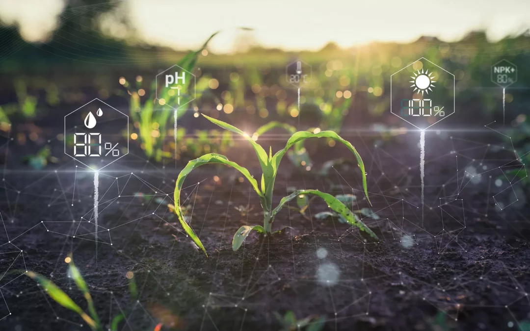 Smart Farming is Optimising Profitability