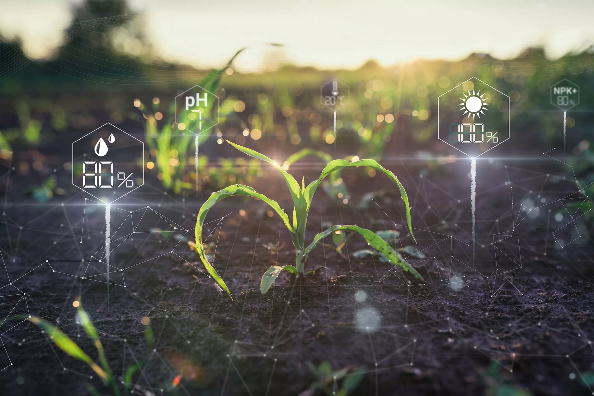 Smart Farming is Optimising Profitability