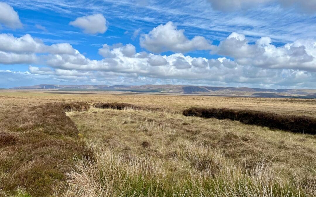 Decisions on Time Sensitive ACRES Landscape Actions Issued