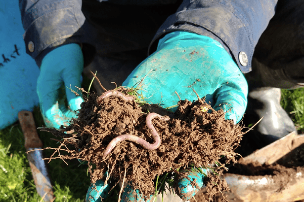 Low-Cost Farmer Soil Health Toolkit