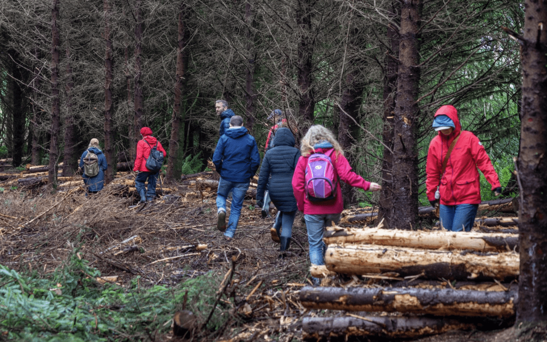 Farmer-Centric Native Woodland Framework