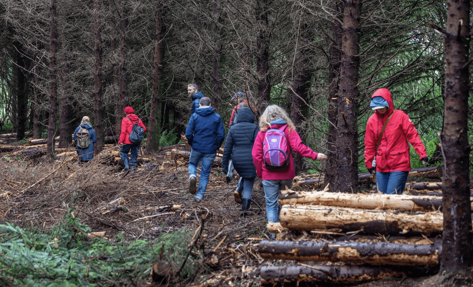 Farmer-Centric Native Woodland Framework