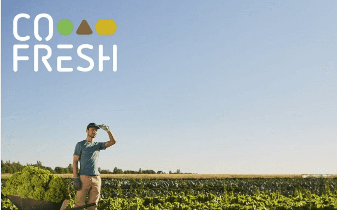 Policy Recommendations for Sustainable Innovation in Agri-Food Chains