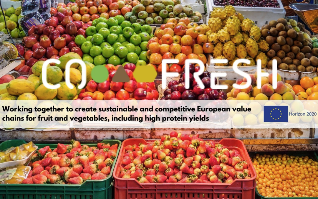 Framework for Promoting Sustainability, Innovativeness, and Competitiveness of Agri-Food Value Chains
