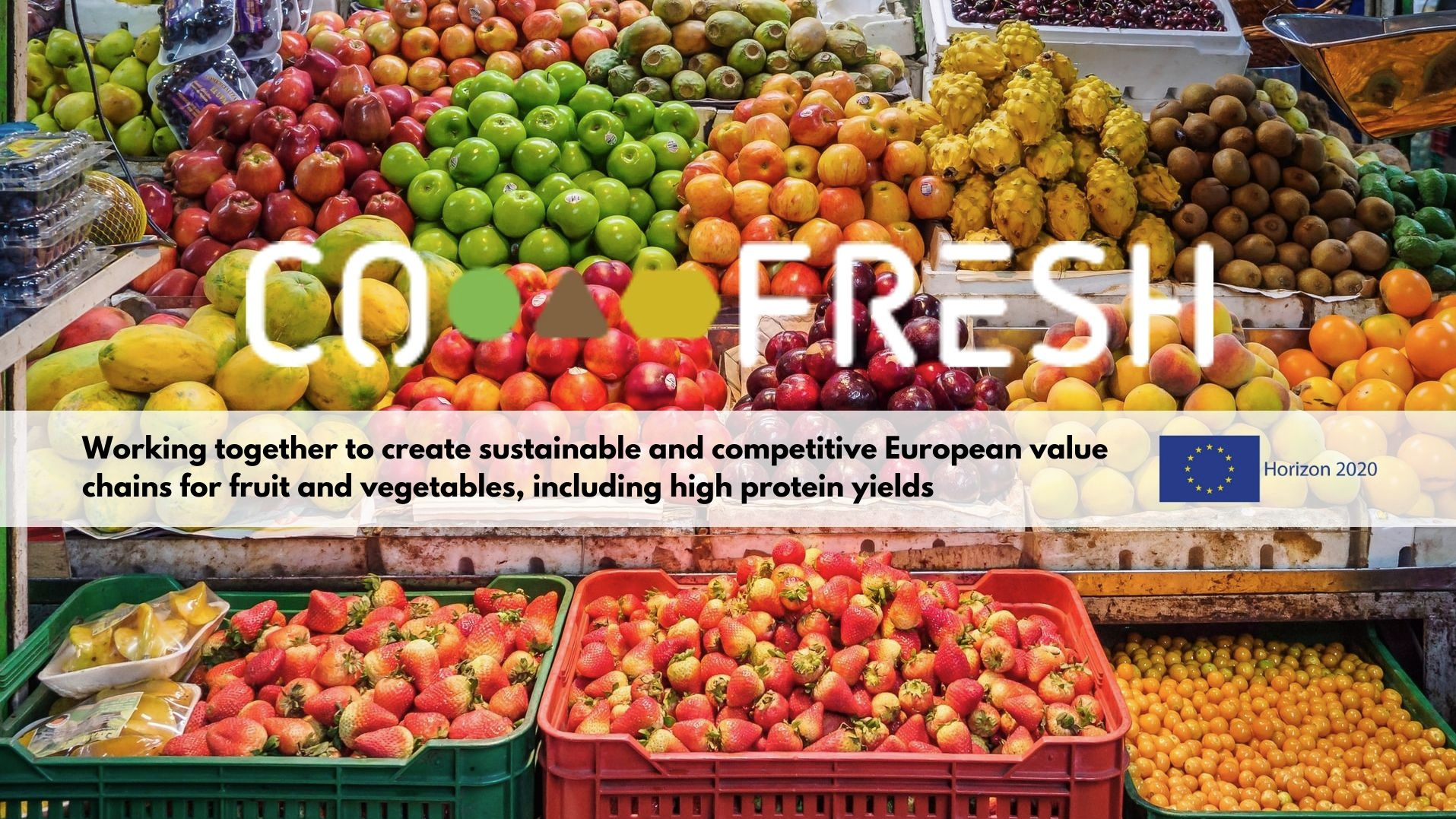 Framework for Promoting Sustainability, Innovativeness, and Competitiveness of Agri-Food Value Chains