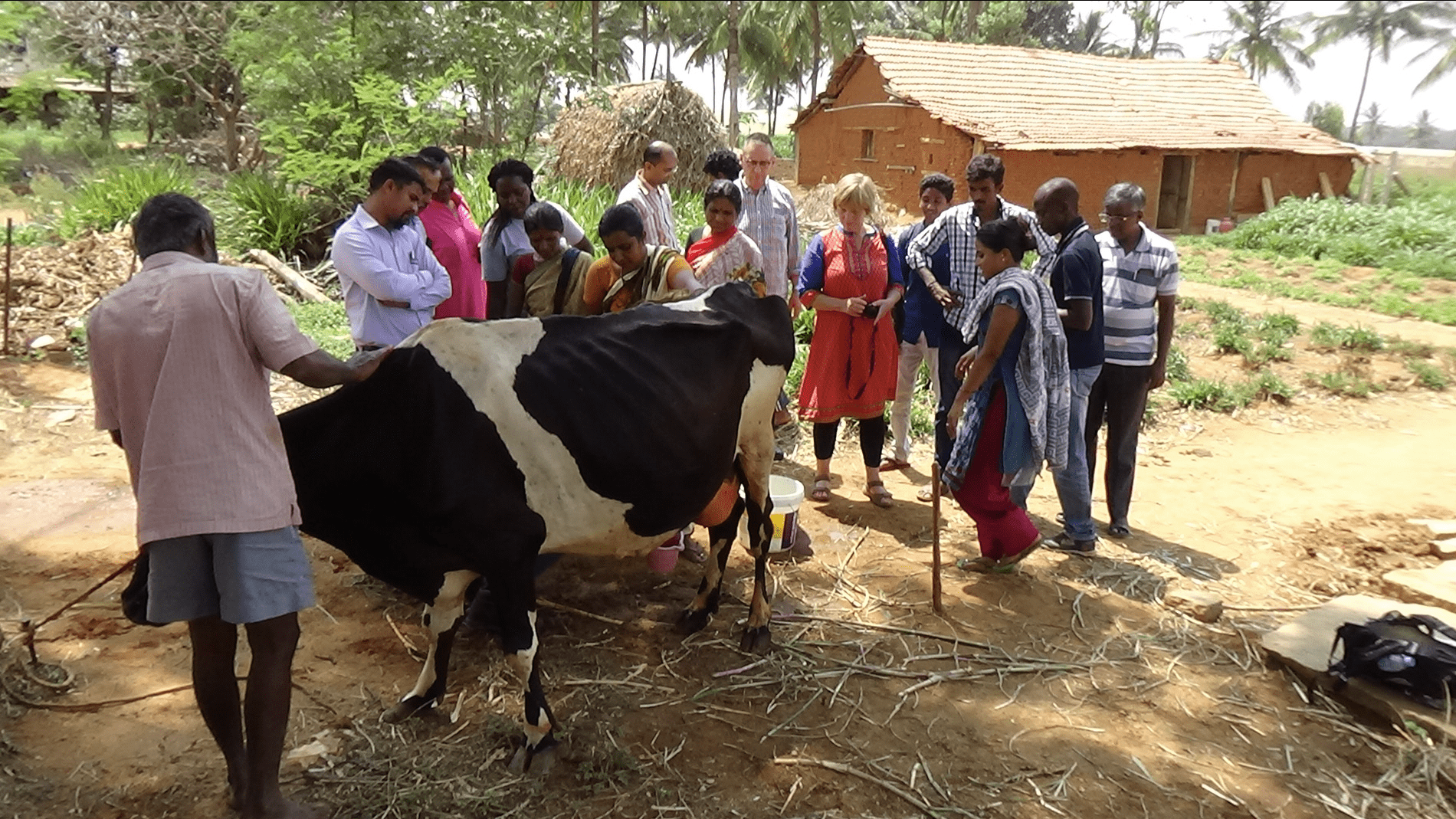 Study Visits For Sustainable Dairy Farming Knowledge Exchange