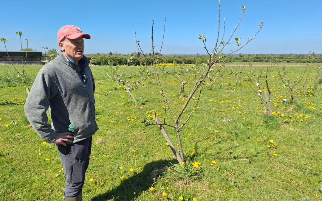 Kyrie Farm: Cultivating Wellness by Integrating Organic Horticulture with Recovery-Oriented Mental Health Care