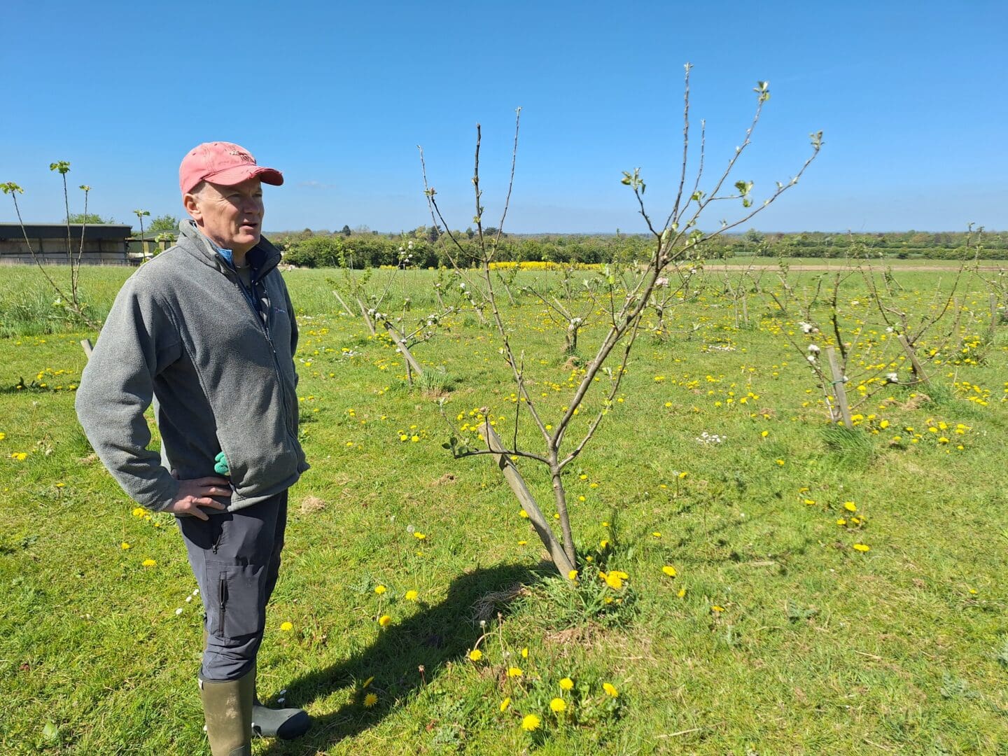Kyrie Farm: Cultivating Wellness by Integrating Organic Horticulture with Recovery-Oriented Mental Health Care
