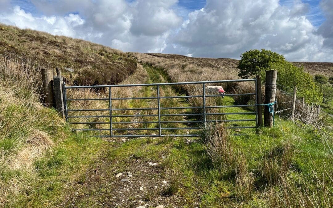 ACRES Non-Productive Investments Application Window Opens