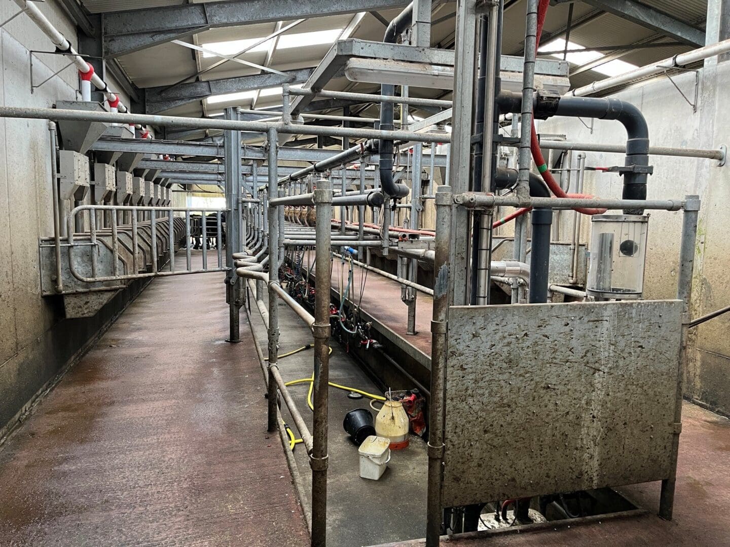 Milking Parlour Interior