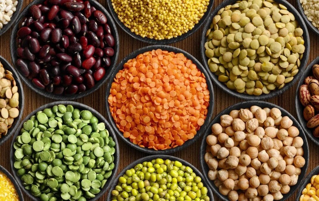 Thematic Group on Protein Crops – Scaling Production