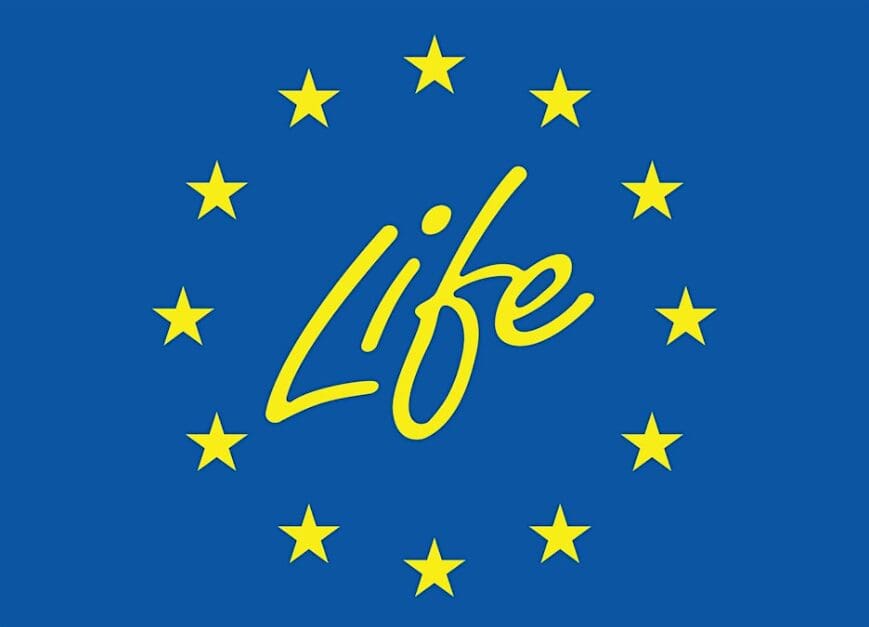 Strengthening the Innovation Pipeline: Ireland4LIFE Survey