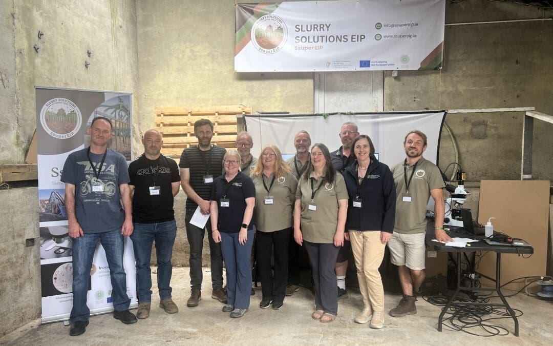 Recent EIP Project Highlights